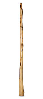 CrookedStixz Didgeridoo (AH327)